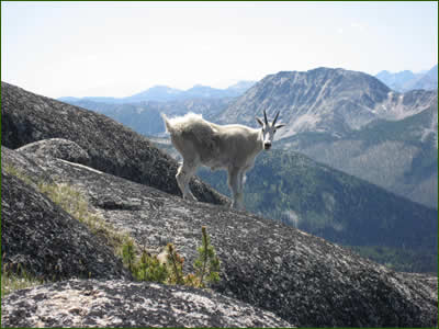 The Beautiful Methow Valley